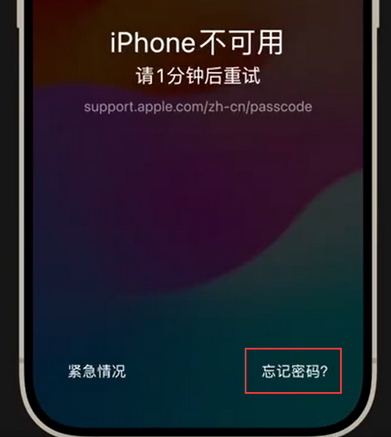 宛城苹果手机密码维修分享iPhone忘记了刚设置的密码 