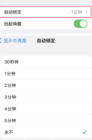 宛城苹果换屏维修分享无法调整iPhone自动锁屏的时间怎么办