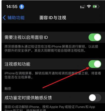宛城苹果14维修网点分享iPhone14注视感知功能有什么用 