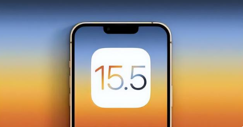宛城苹果手机维修分享iOS15.5 RC版升级建议 
