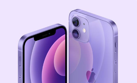 宛城苹果手机维修分享紫色版iPhone 12有什么技术亮点 