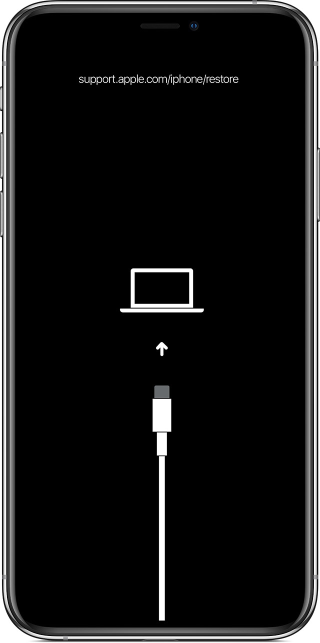 宛城苹果手机维修分享iPhone 输入锁屏密码出现方框，且原密码不正确怎么办 